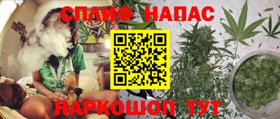 крисы Лесосибирск