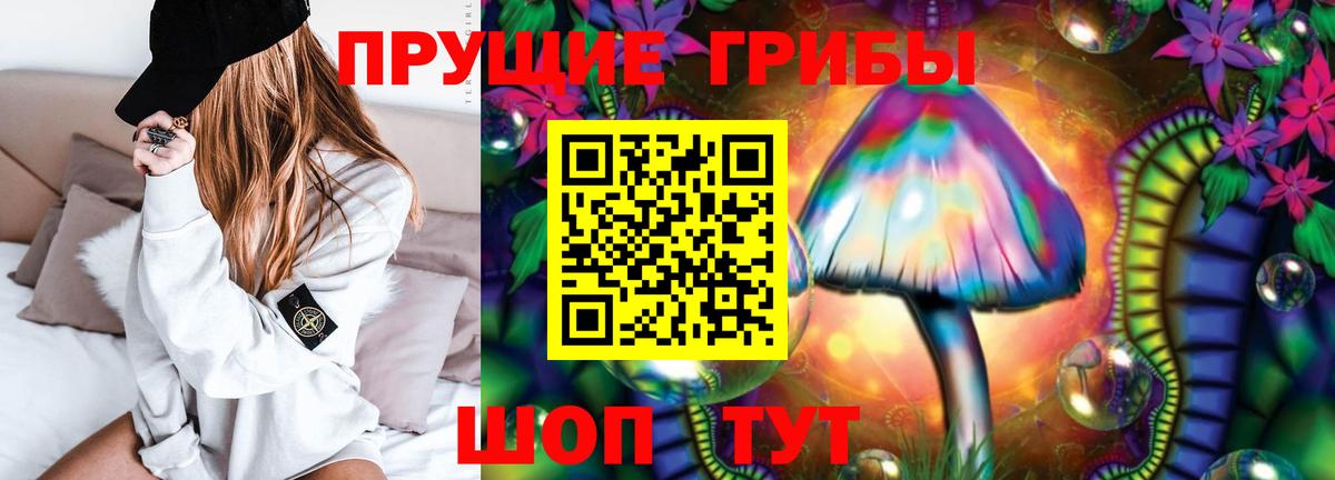 Галлюциногенные грибы Psilocybine cubensis Элиста